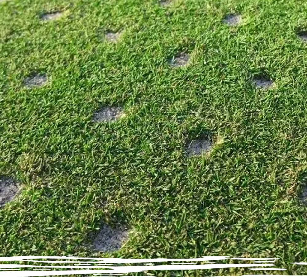 Lawn Aeration Services